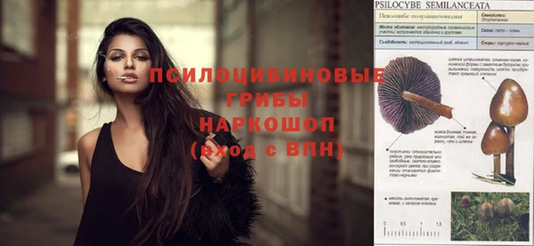 гидропоника Вяземский