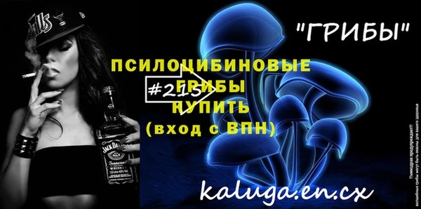 гидропоника Вяземский