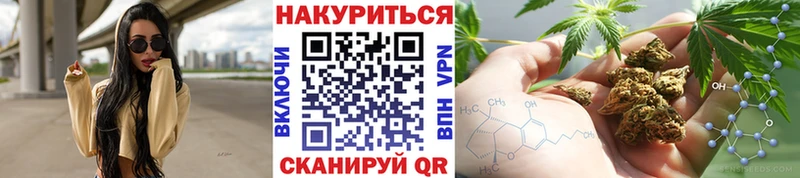 Бошки марихуана сатива  Купить  Кяхта 